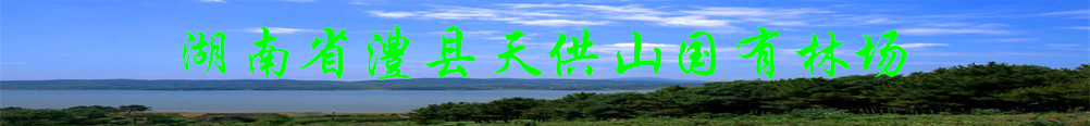 ͼƬһ